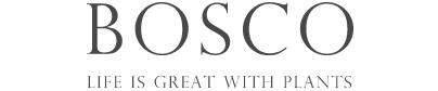 BOSCO